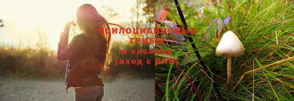2c-b Богданович