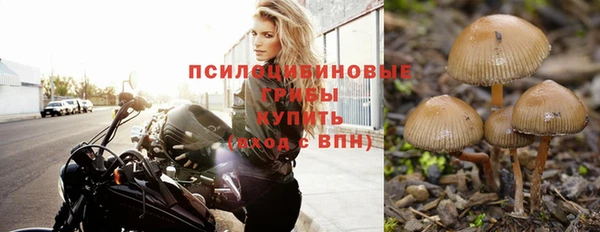 метамфетамин Богородицк